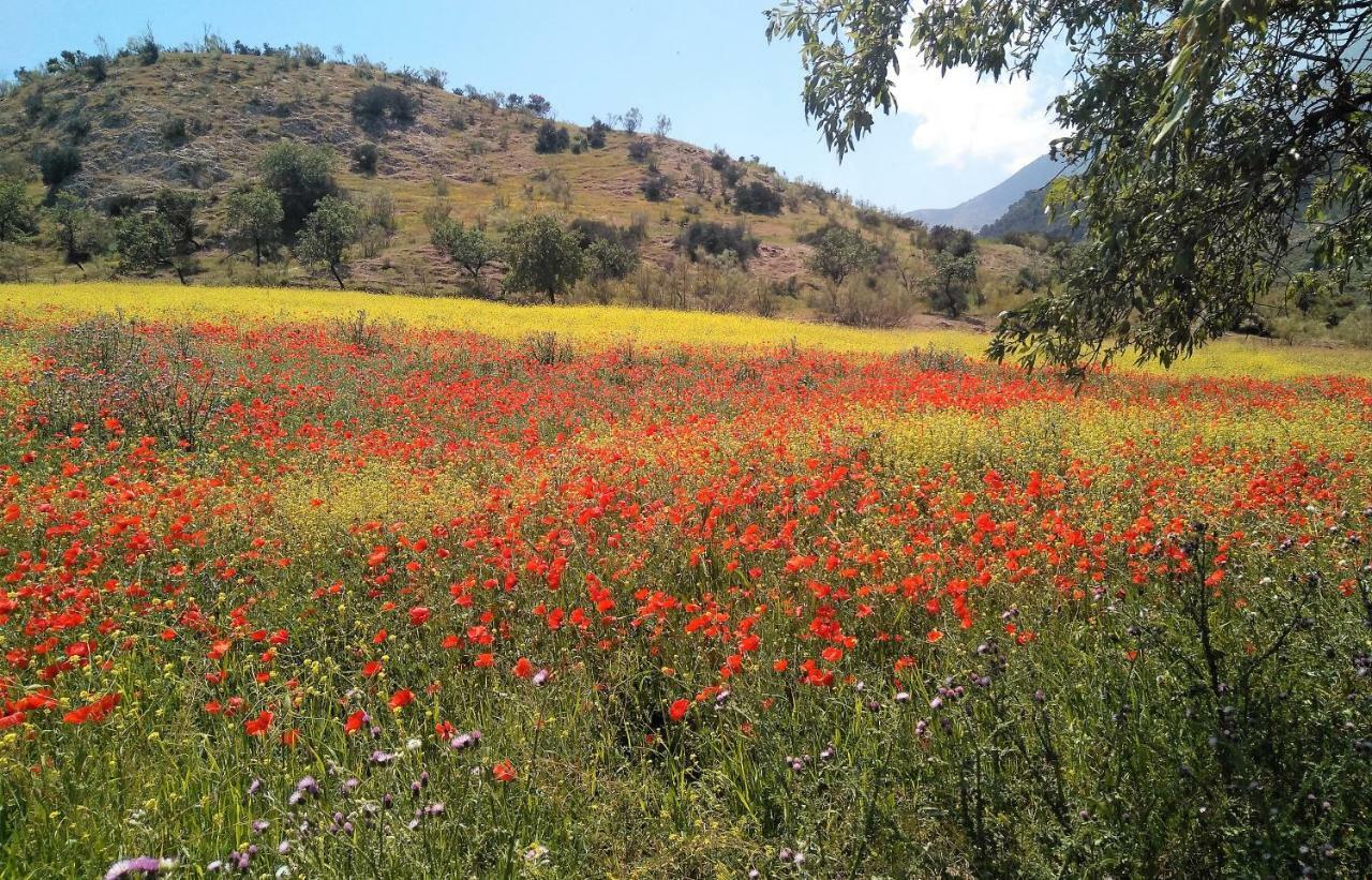 Magina Dream La Guardia Turismo Rural La Guardia de Jaén 외부 사진